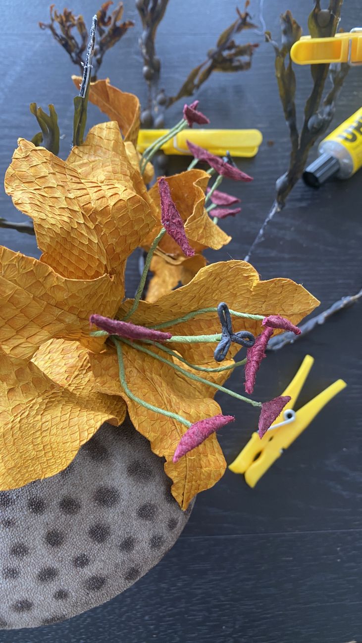 Tidemistress Close Up